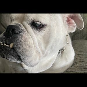 Meet your Posher, Charles